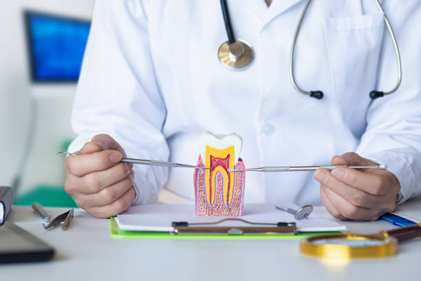 Best After-Hours Emergency Dentist in Carter, TX